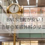 BNLS（脂肪溶解注射）が安い！名古屋の人気＆おすすめ美容外科クリニックはどこ？